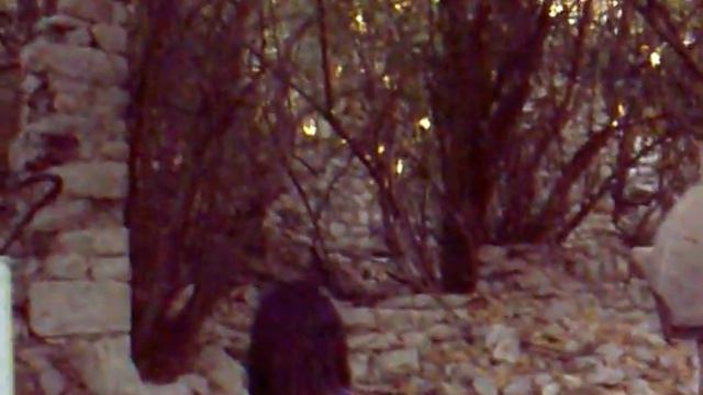 Турция.Химера.mp4 смотреть онлайн