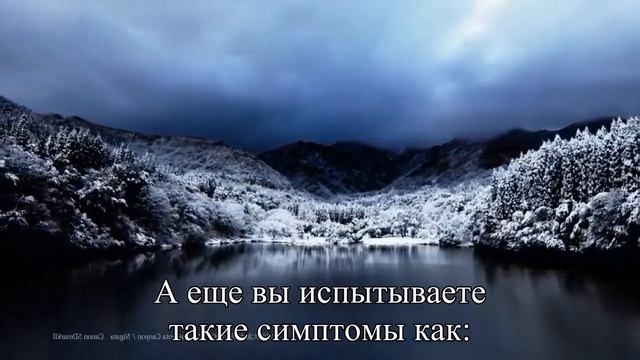 Постоянно урчит в животе Причины и 9 подсказок, как добиться тишины  — Статья
