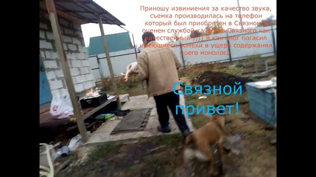 Содержание индюков. Забой. Подведение итогов.