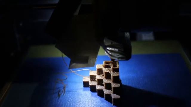 UP! Mini printing Laywood D3 using Digital Temp Control смотреть онлайн