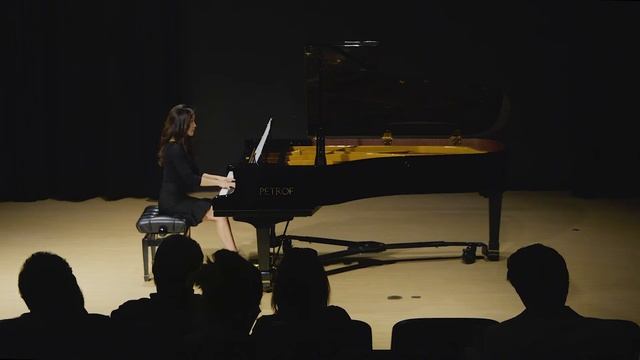 Robert V. Springer: Prelude in Bb minor (2012) смотреть онлайн