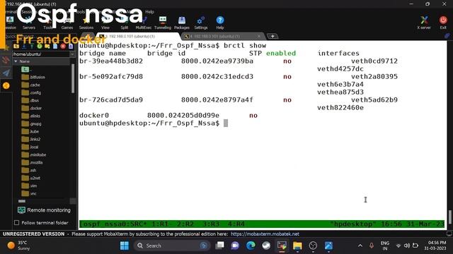 Ospf nssa configuration using frr and docker setup | Ospf nssa testing with single VM | ospf nssa смотреть онлайн