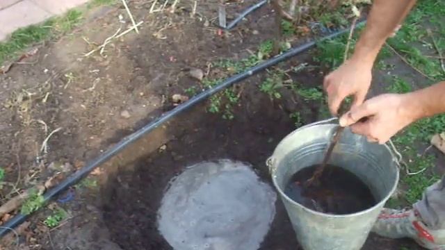 Посадка винограда осенью (Часть 1) смотреть онлайн