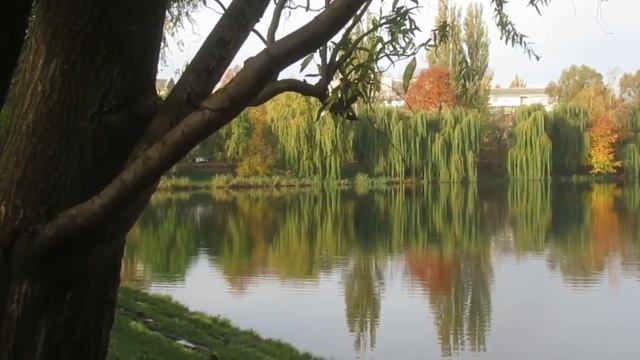 Из песен царя Давида. Псалом 45. смотреть онлайн