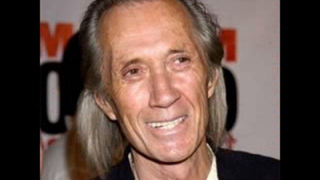 david carradine Mashup 2010 смотреть онлайн