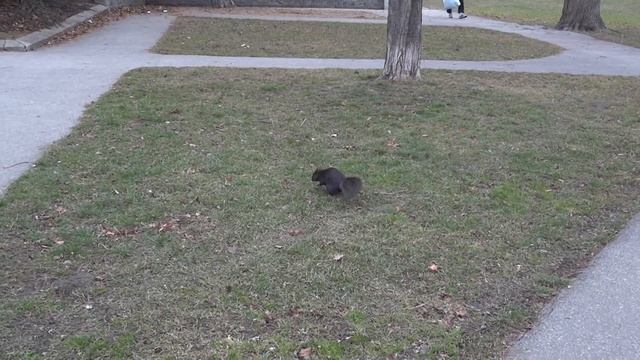 sony wx7 1080p смотреть онлайн