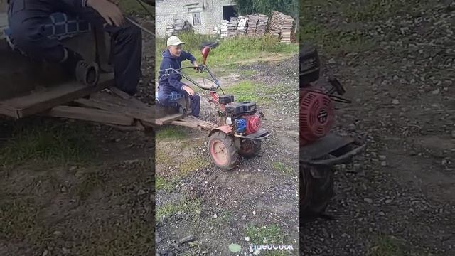 гоняем треплем мотоблок Угра у нас весело в деревне) смотреть онлайн