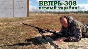 Вепрь-308 - отличный карабин! / Проверка перед охотой комплекса - карабин, прицел, стрелок.