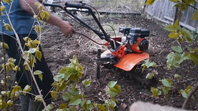 мотоблок рысь и роторы на слегка заросшей земле смотреть онлайн