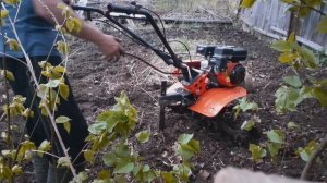 мотоблок рысь и роторы на слегка заросшей земле