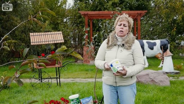 Побелка деревьев осенью ➡ Как выбрать краску? ? Обзор hitsadTV смотреть онлайн