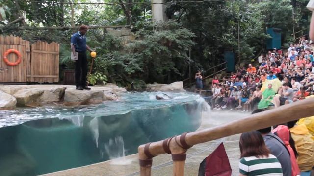 Зоопарк в Сингапуре смотреть онлайн