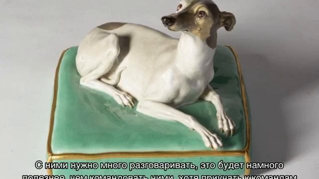 Левретка (собака): итальянская борзая порода смотреть онлайн