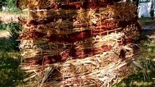 Живой ковер из трав смотреть онлайн