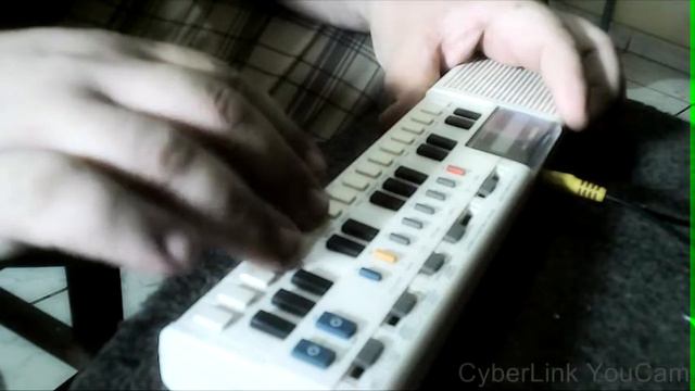 Live Looper - Casio VL Tone - Riva Lima смотреть онлайн