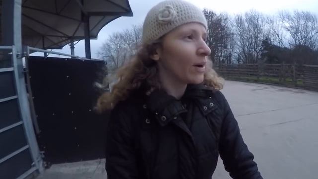 Развлекательный центр для детей + Мини зоопарк смотреть онлайн