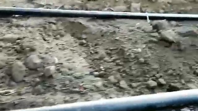 система капельного полива