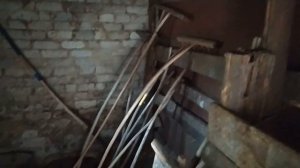 КОТЯТА ? КРЫСОЛОВЫ, ПОЯВИЛИСЬ У НАШЕЙ КОШКИ МАРУСИ.?