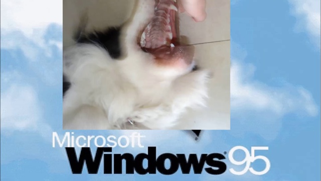 Windows Never Released 1 - 2014 смотреть онлайн