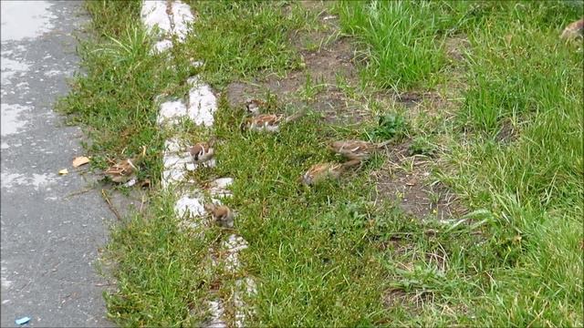 Тёплые дни продолжаются и красота природы радует людей 13.09.2022 смотреть онлайн