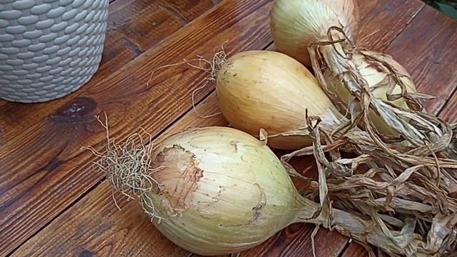 ДО КОНЦА НЕДЕЛИ НАБОРЫ ПРОФИ ЛУКА ПО СТАРОЙ ЦЕНЕ // ВАЦАП ДЛЯ ЗАКАЗА 8-915-245-81-59 ПИСЬМЕННО смотреть онлайн