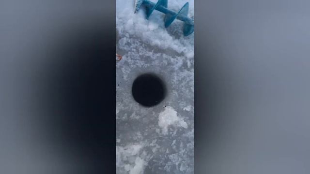 Зимняя рыбалка Ненецкий АО г. Нарьян-Мар смотреть онлайн