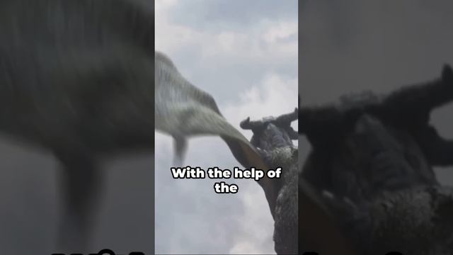 Jason's Epic Battle Argonauts vs Harpie смотреть онлайн