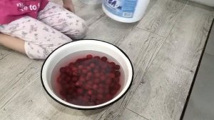 Вишня ЧЕРВИВАЯ что делать? ЕСТЬ Решение!!!