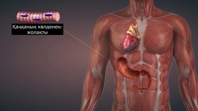 Жануарлар ұлпалары смотреть онлайн