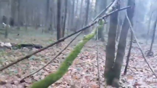 Снежный человек в Подмосковье. смотреть онлайн