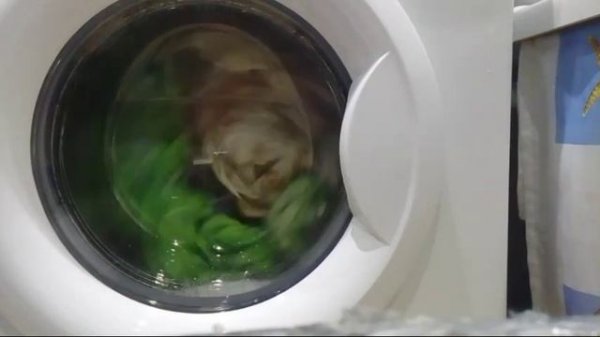 Тест Геля Ariel