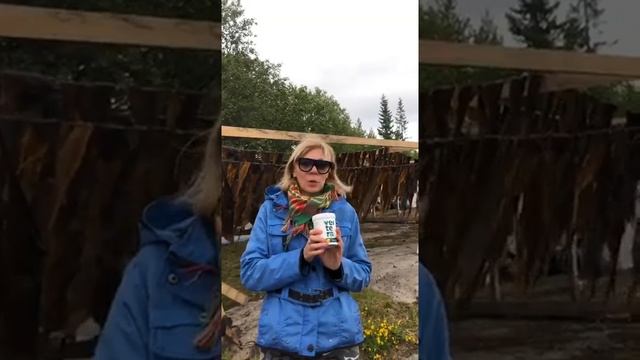 Водоросли? в чем их польза? Гель из ламинарии и листовая как еда? ® Fladt Natalya official channel смотреть онлайн