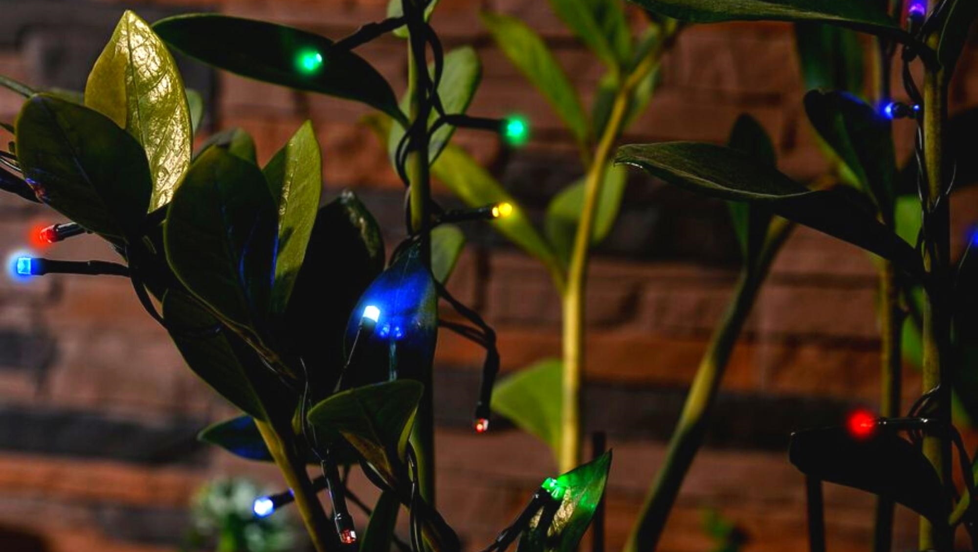 Гирлянда для сада Uniel солар USL-S-122/PT5000 05306 Milkyway режим свечения