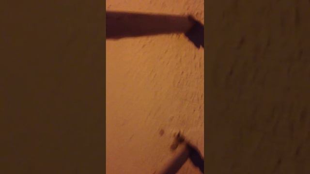 Большой Паук Крестовик смотреть онлайн