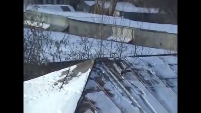 ПРИКОЛЬНАЯ Ворона катается с горки, КАК ЧЕЛОВЕК смотреть онлайн