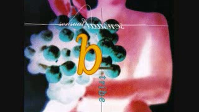 B-Tribe - Tribute To J.S. Bach