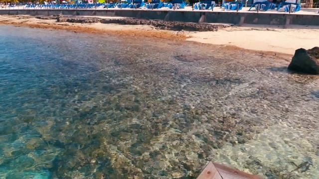 Американские каникулы 4 - Багамские Острова Princess Cays смотреть онлайн
