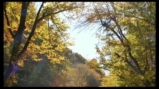 Будущее настало. Нейросети сами монтируют видео и подбирают музыку. #нейросеть #chatgpt #монтажвиде смотреть онлайн