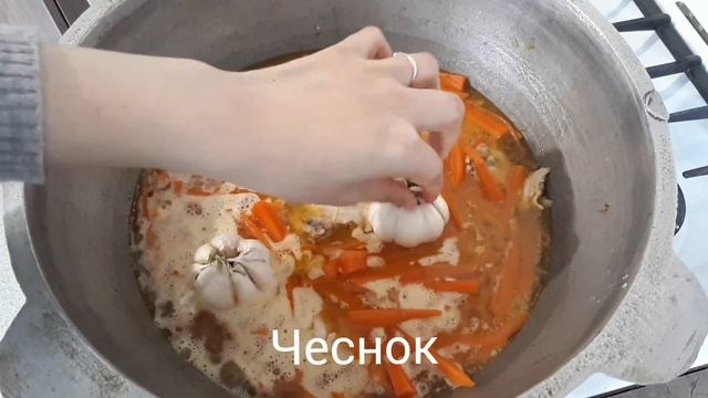 Цирковые Представления и Шоу