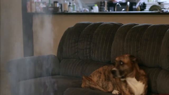 1st Place Commercial Tamara Weber Ninja Cola Campaign смотреть онлайн