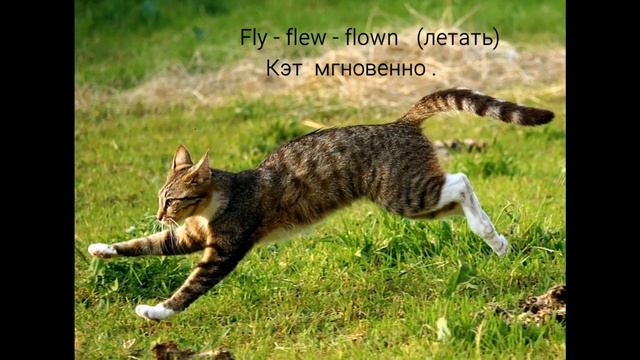 Как легко и весело выучить неправильные глаголы ? Стишки с картинками в помощь ! смотреть онлайн