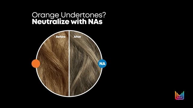 Intro to SoColor Pre-Bonded for Color Insider Users смотреть онлайн