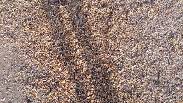 Каспийское море. Дербент. смотреть онлайн