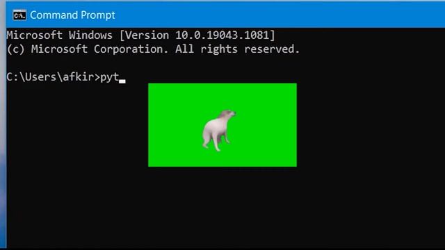 Python tutorial: How to install Python (2021) смотреть онлайн