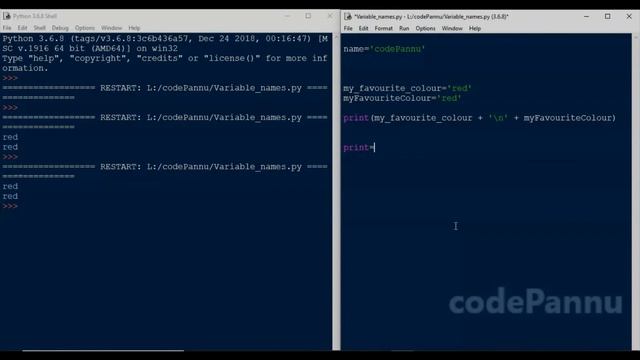 L1 - Wk 3 - V2 - Variables & Datatypes | Variable names | Python for students смотреть онлайн