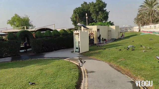AL DAFNA PARK смотреть онлайн