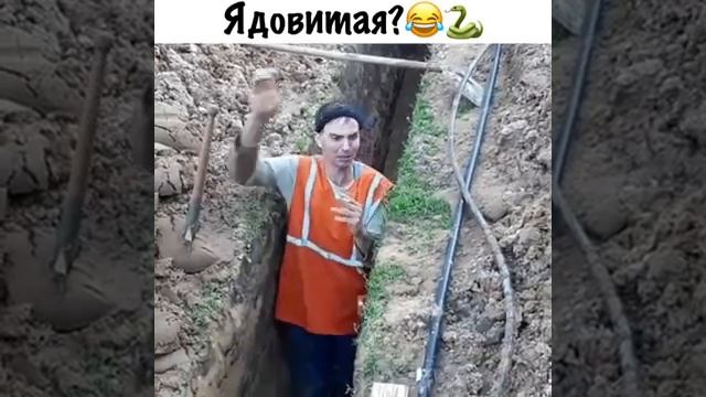 подземные змеи смотреть онлайн