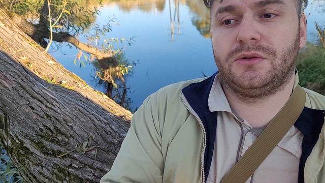 Первый опыт организации пересадки волос Турецкими врачами в Москве.(Мини отчет). смотреть онлайн