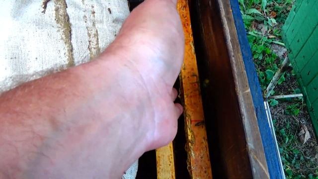 Маленькие пчеловодческие ЛАЙФХАКИ.