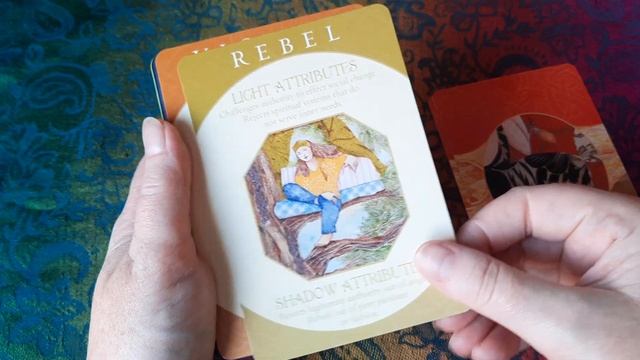 New Oracle Decks | 1st half of 2021 смотреть онлайн